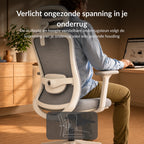 [Stone Grey] Verstelbare lendensteun van de Alygn Core Pro ergonomische bureaustoel, instelbaar in hoogte en diepte voor gerichte steun in de onderrug
