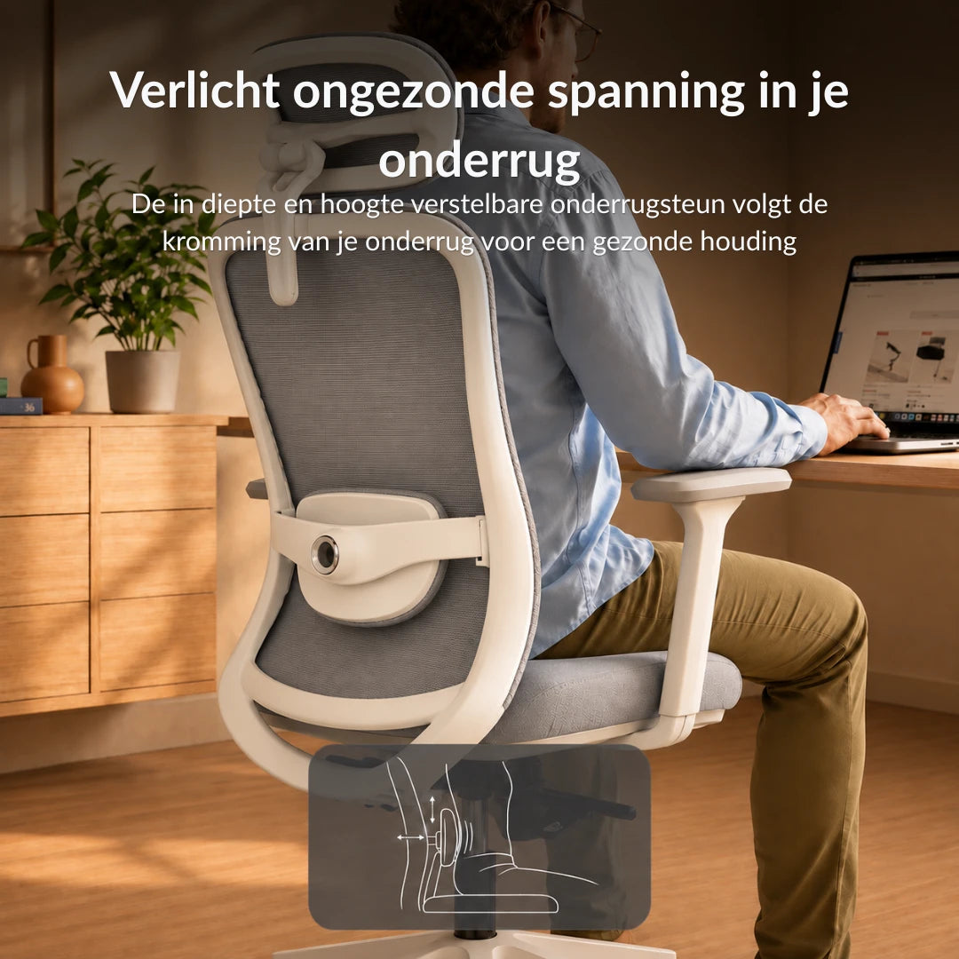 [Stone Grey] Verstelbare lendensteun van de Alygn Core Pro ergonomische bureaustoel, instelbaar in hoogte en diepte voor gerichte steun in de onderrug